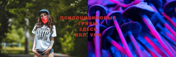 герыч Медногорск