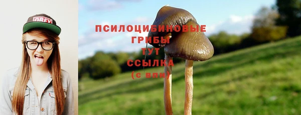 гидропоника Михайловка