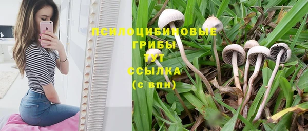 a pvp Михайловск