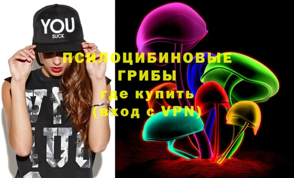 мяу мяу мука Медвежьегорск