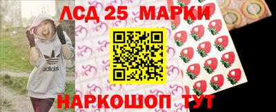 гидропоника Гусь-Хрустальный