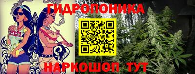 гидропоника Гусь-Хрустальный