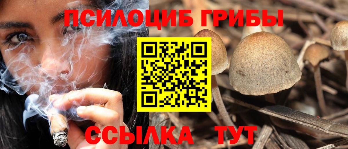Псилоцибиновые грибы мухоморы  Вход с VPN  Галлюциногенные грибы Magic Shrooms  Кропоткин 